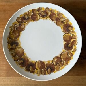 Vintage set of melamine mushroom 9” plates